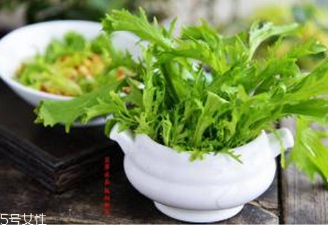 苦菊不能和什么一起吃,苦菊和什么相克,苦菊不能和什么一起吃