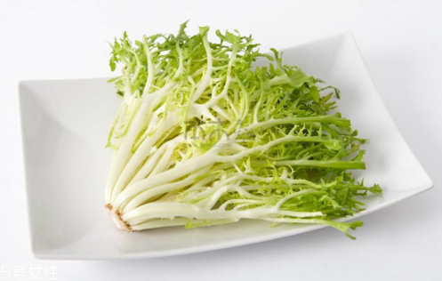 苦菊怎么做法,苦菊的做法大全家常做法