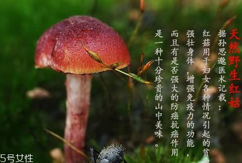 红菇发霉了洗了还能吃吗,红蘑菇发霉了还能吃吗