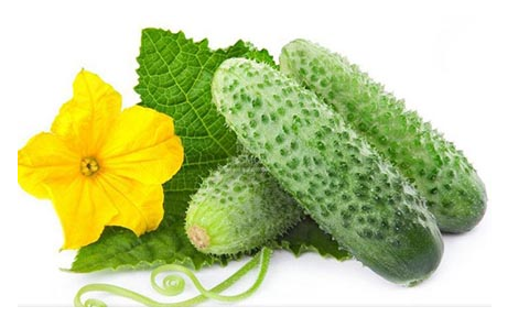 吃丝瓜的注意事项,丝瓜的禁忌