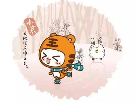 三九天怎么养生进补吃什么鱼,三九天如何进补