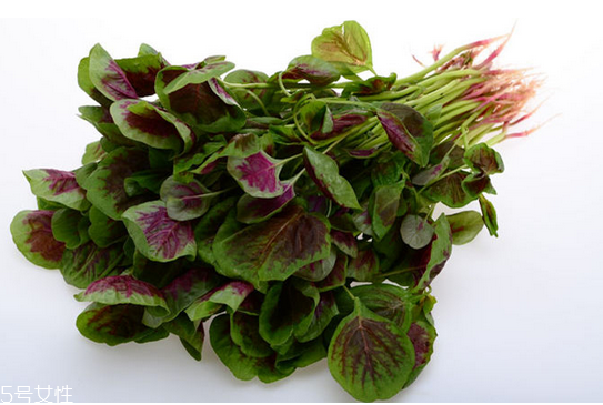 苋菜能吃吗,苋菜吃了有什么好处 苋菜能吃吗,苋菜吃了有什么好处