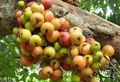 无花果有虫子吗,为什么每个无花果里都有虫