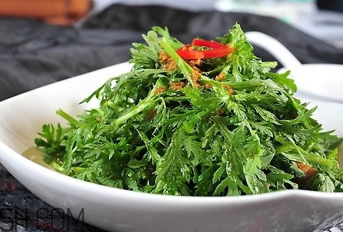 皇帝菜不能和什么同食,皇帝菜不可以和什么吃