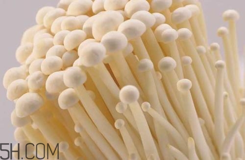 金针菇的食用禁忌,金针菇的禁忌食物相克