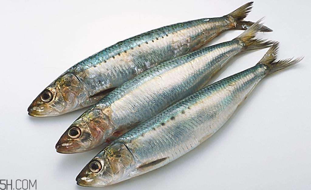 荨麻疹不能吃什么,要忌些什么东西?,荨麻疹不能吃什么东西