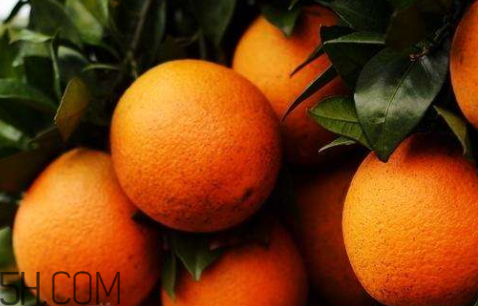 冰糖橙可以蒸着吃吗,橙子蒸冰糖有什么功效