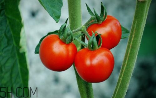 什么食物去痘痘有效,去痘痘的食物