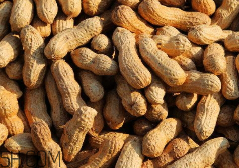 花生怎么炒又香又脆,花生怎么炒好吃