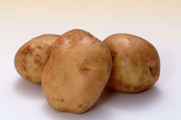 什么样的土豆不能吃(什么样的土豆不能吃,求图)