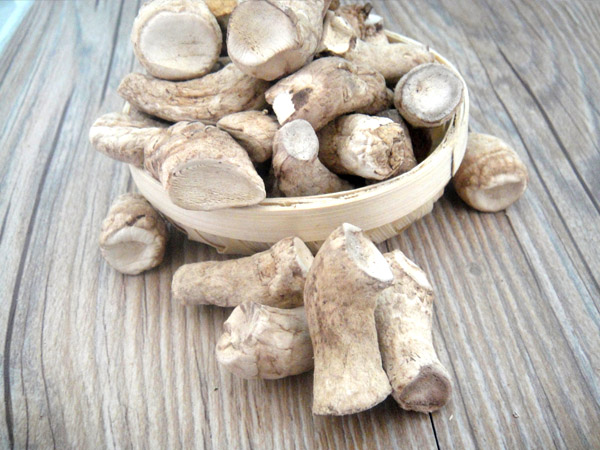 香菇根有毒吗,香菇根有毒吗可以吃吗