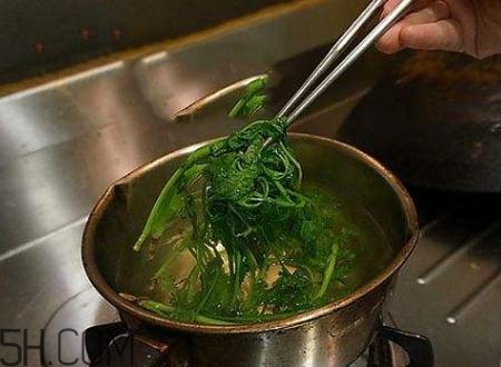 香菜根煮水能退烧吗?,香菜根熬水能不能治发烧