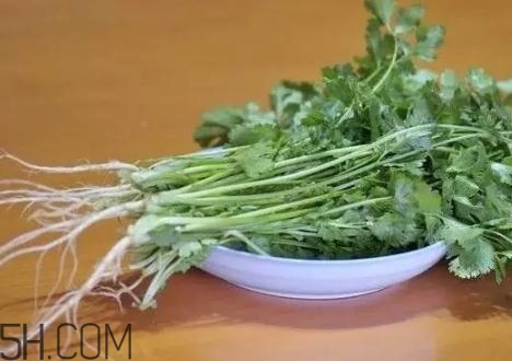 香菜根煮水能减肥吗,香菜根水怎么煮效果好