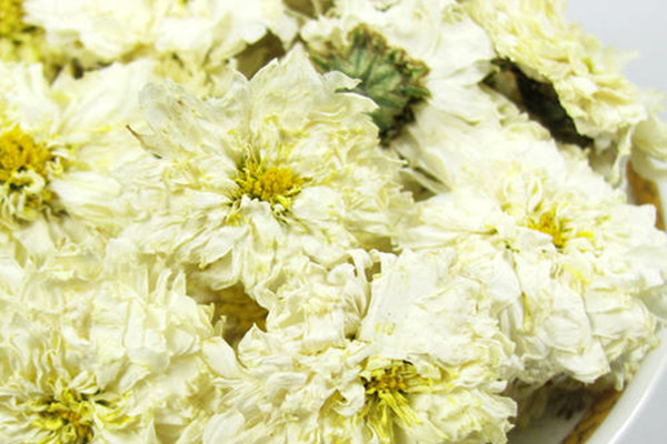 贡菊花和胎菊的区别(贡菊花和胎菊的区别)