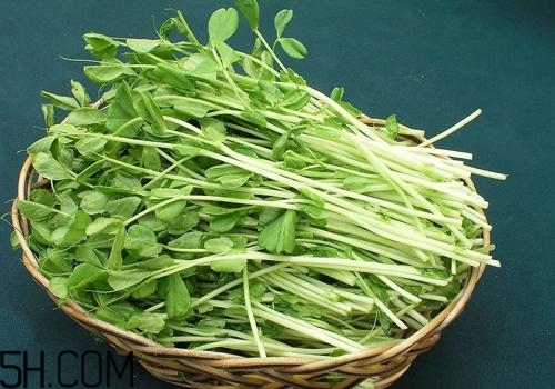 女生吃什么容易瘦脸,吃什么可以瘦脸?