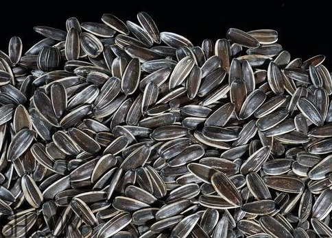 煮瓜子放多少盐合适,煮瓜子一斤瓜子放多少盐