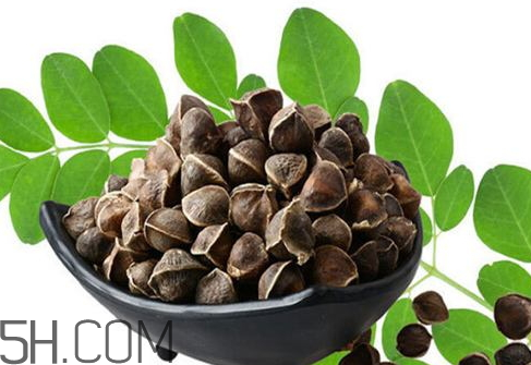 辣木籽药店有卖的吗,多少钱一斤?,辣木籽药店有售吗