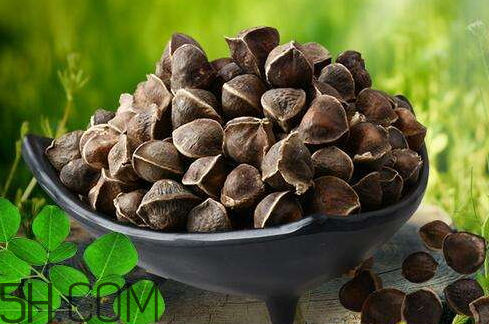 辣木籽哪里有卖的,辣木籽哪里可以买到