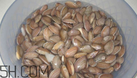 花甲怎样炒,花甲怎样炒才好吃