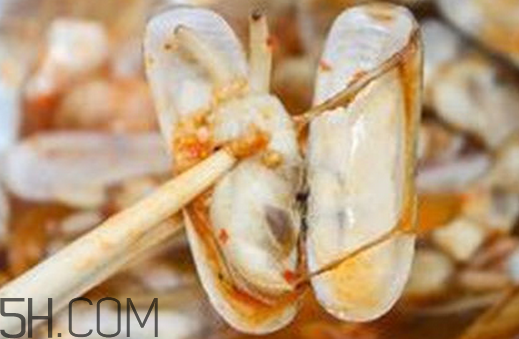 蛏子可以养多久?,蛏子能养几天 蛏子可以养多久?,蛏子能养几天