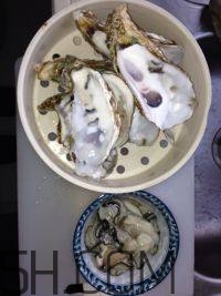 蒜蓉烤生蚝的做法窍门,烤生蚝蒜蓉配方