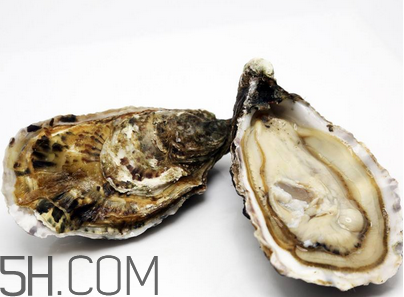 生蚝的食疗功效,生蚝的功效和作用吃法