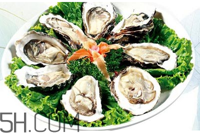 生蚝是什么东西,生蚝什么样子 生蚝是什么东西,生蚝什么样子