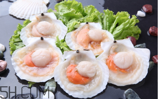 扇贝和生蚝有什么区别?,生蚝和扇贝哪个好吃 扇贝和生蚝有什么区别?,生蚝和扇贝哪个好吃