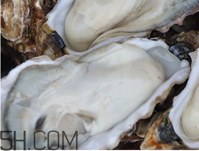 生蚝的功效和禁忌,生蚝的营养功效以及食用禁忌