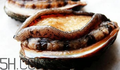 新鲜鲍鱼怎样洗才算干净,新鲜的鲍鱼怎么洗