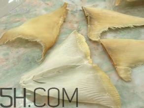 真假鱼翅的辨别方法,鱼翅的真假图片对比 真假鱼翅的辨别方法,鱼翅的真假图片对比