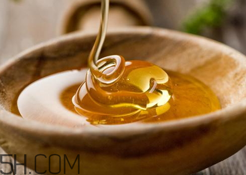 一只蜜蜂一年可以采多少蜜,一只蜜蜂一生能采多少蜂蜜