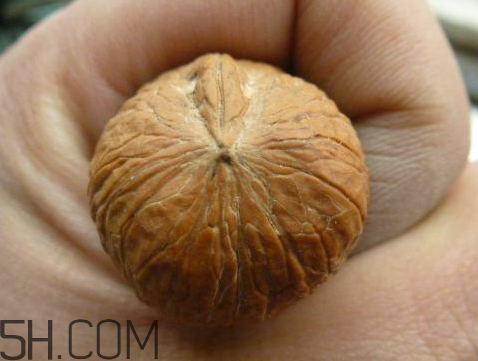 一个核桃的热量是多少大卡,一个核桃的热量是多少合适