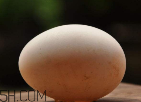 鹅蛋腌多久可以吃吗,鹅蛋腌多久可以吃腌制15天可以开始食用 鹅蛋腌多久可以吃吗,鹅蛋腌多久可以吃腌制15天可以开始食用