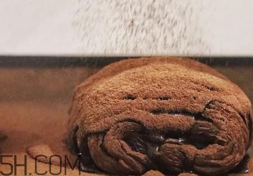 巧克力脏脏包多少钱一个,巧克力脏脏包图片