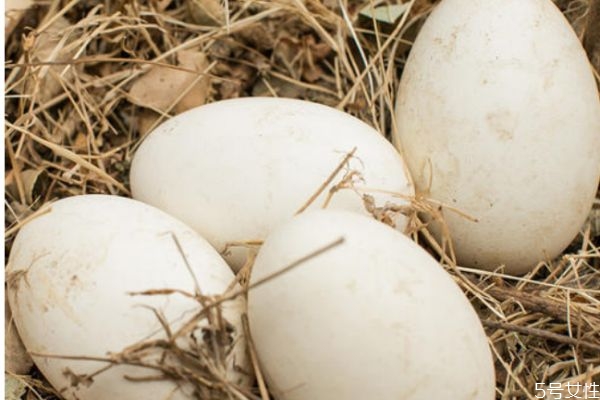 怀孕吃鹅蛋要注意什么呢(孕期要吃鹅蛋吗)