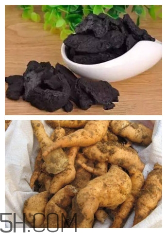 熟地黄和地黄的区别,地黄和生地黄熟地黄和生地黄的区别