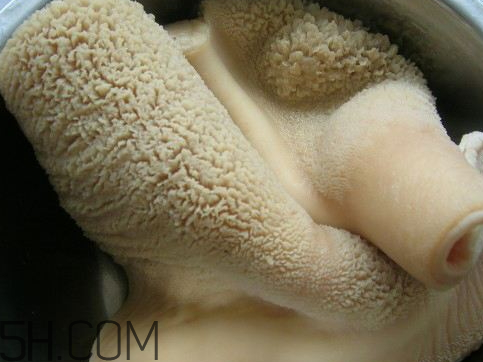 清洗牛肚最正确的方法,怎样洗牛肚又快又干净 清洗牛肚最正确的方法,怎样洗牛肚又快又干净