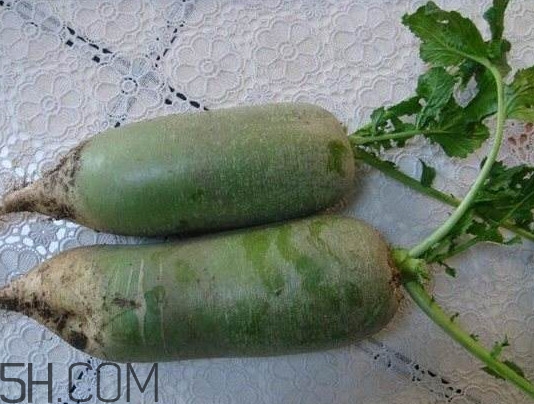 怎么区分沙窝萝卜和水果萝卜,沙窝萝卜怎么挑选