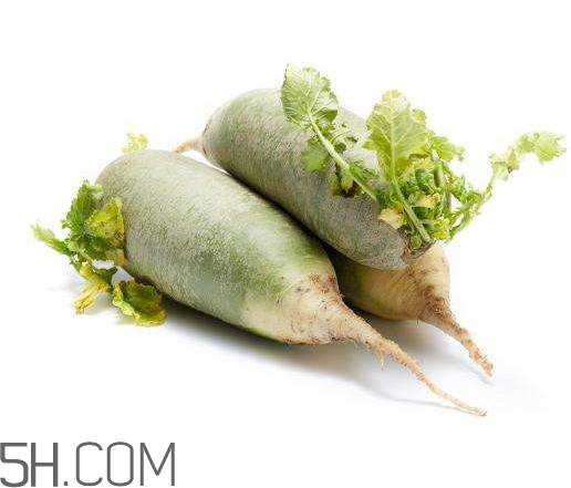 天津沙窝萝卜什么时候上市,沙窝萝卜什么时间上市