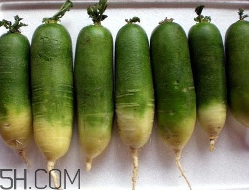 潍坊萝卜什么时候上市,潍县萝卜几月份成熟