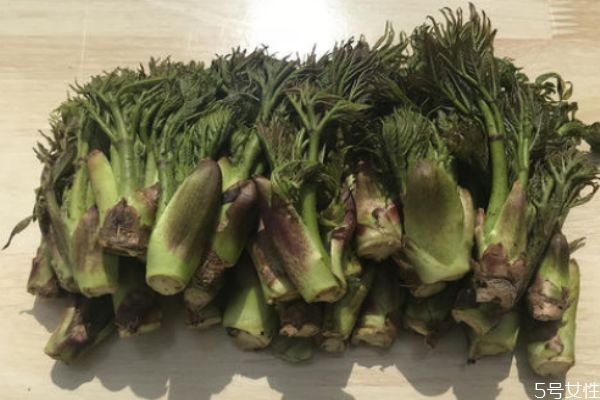 刺龙芽可以吃吗?,刺龙芽怎么吃