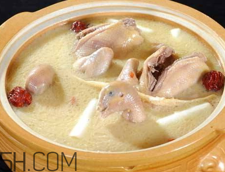 鸽子汤用热水还是冷水下锅,鸽子汤用热水还是冷水炖