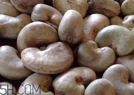 腰果有壳吗,腰果的壳是什么样的