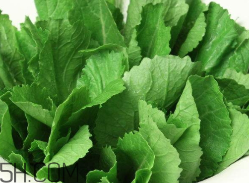 水东芥菜是凉性的吗,芥菜是凉性的吗?