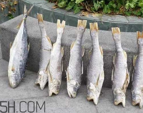 咸鱼长毛还能吃吗?,咸鱼长白毛了还能吃吗