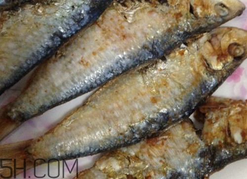 咸鱼是不是海鲜,咸鱼是不是海鲜动物