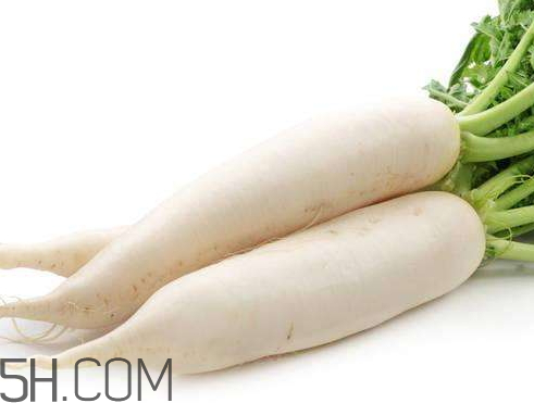 白萝卜什么时候成熟季节,白萝卜什么时候成熟? 白萝卜什么时候成熟季节,白萝卜什么时候成熟?