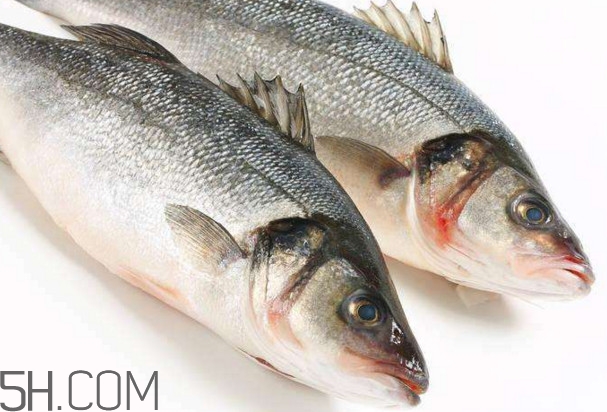 鲈鱼的吃法有哪些,鲈鱼有什么功效和作用