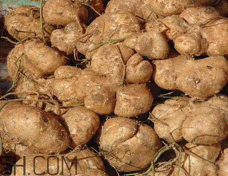 土瓜是凉性还是热性水果,土瓜是凉性还是热性的